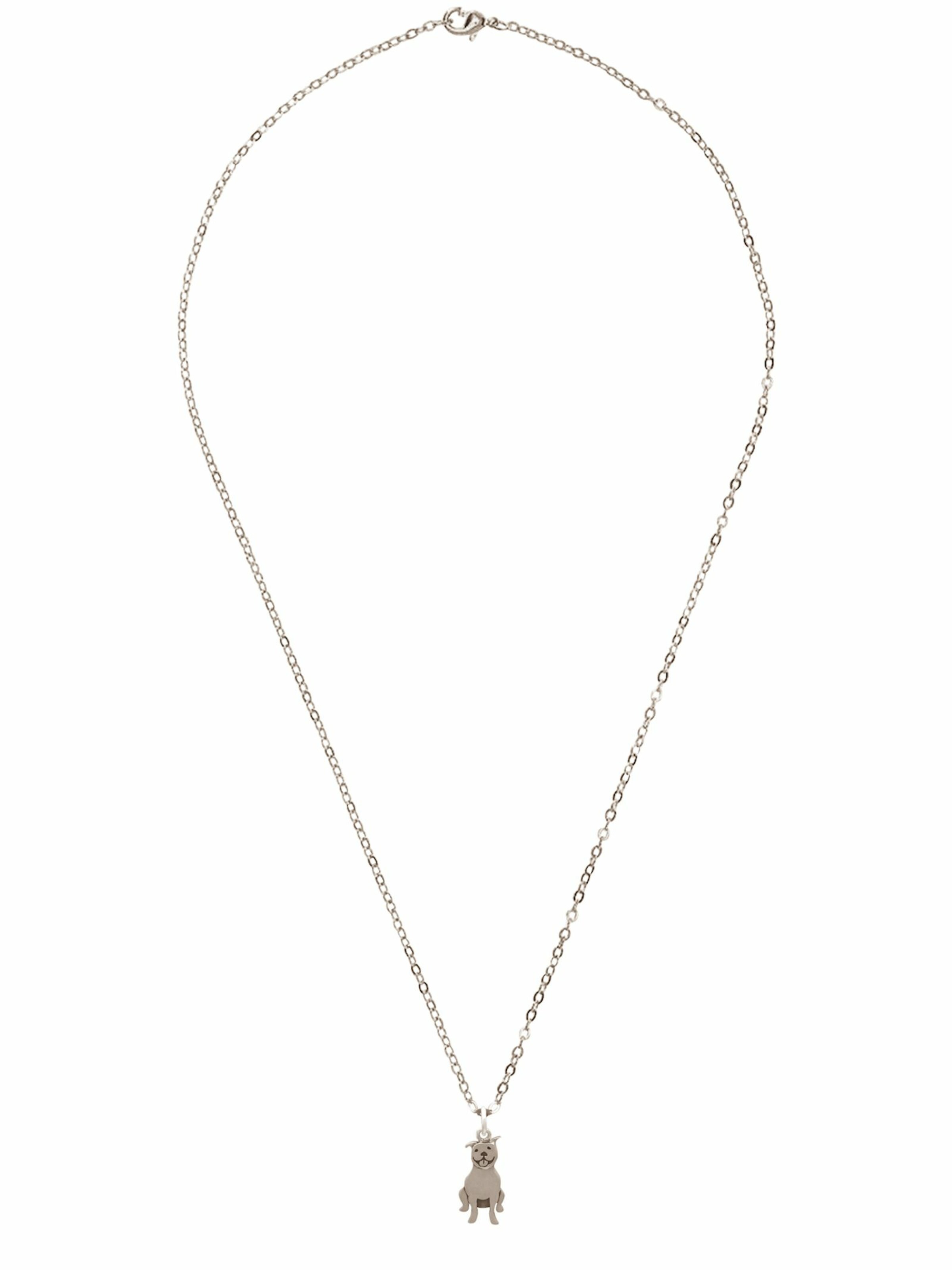 Gemshine Ketting in Zilver: voorkant