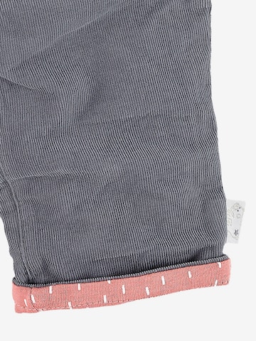 STERNTALER Regular Pants 'Elia' in Grey