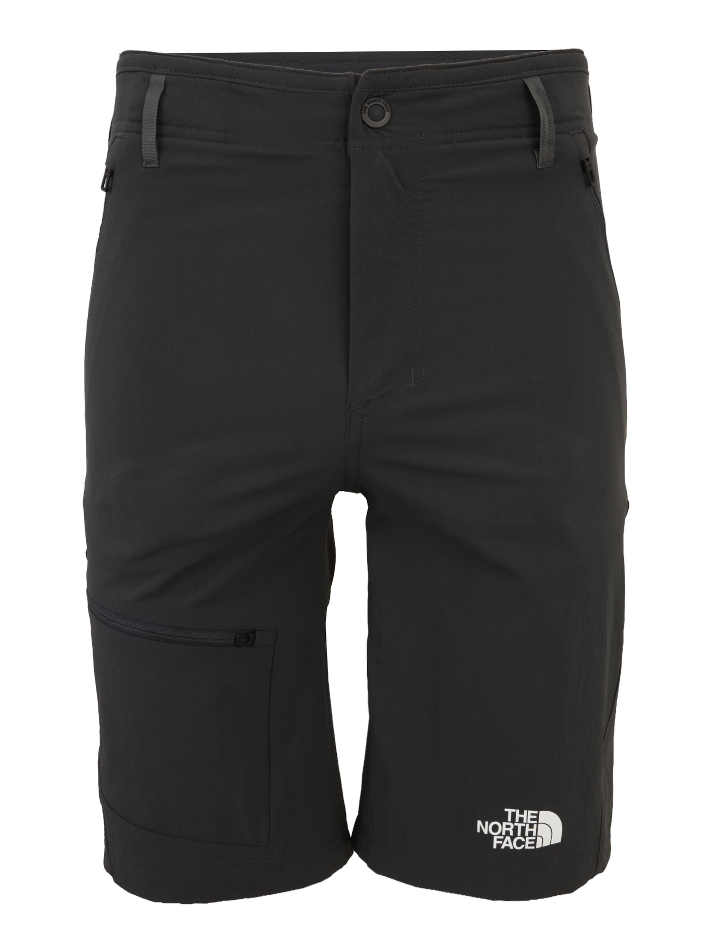 THE NORTH FACE Обычный Штаны в спортивном стиле 'Speelight' в Серый: спереди