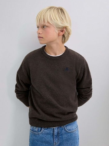 Pull-over ' ' Scalpers en marron