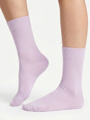 footstar Socken 'EVERYDAY!'‌‌‌‌ in Lila