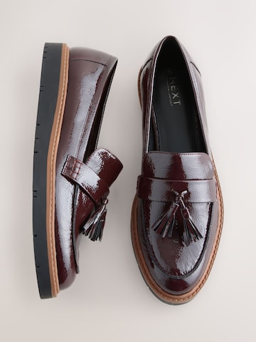 Next Mocassins in Bruin
