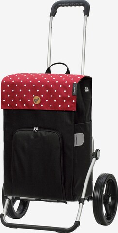 Trolley 'Malit' di Andersen Shopper in rosso: frontale