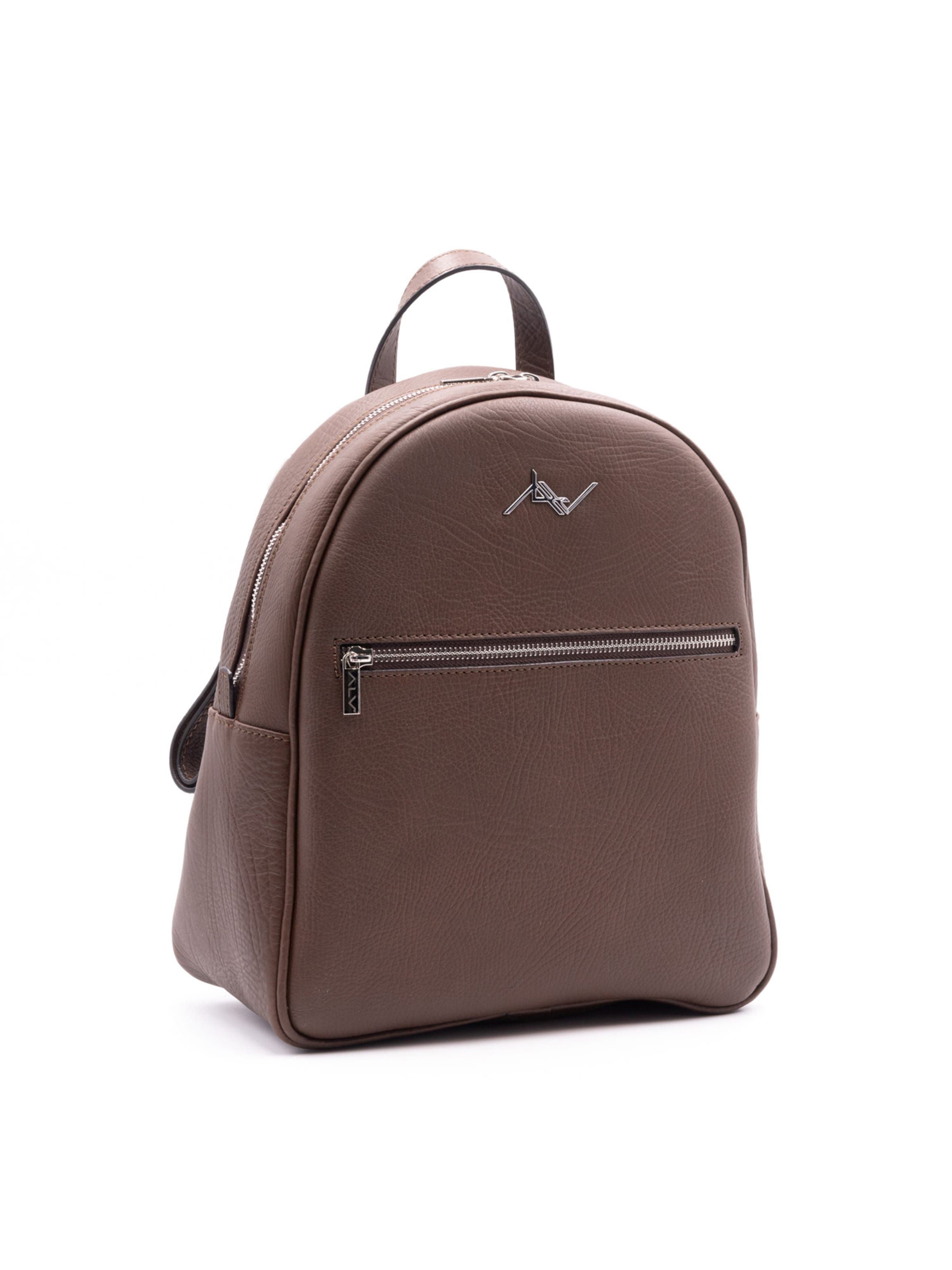 Alviero Martini Rucksack in Braun: Vorderseite