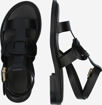 See by Chloé Strap sandal in Black