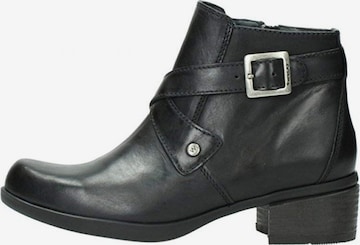 Wolky Ankle Boots in Black: front