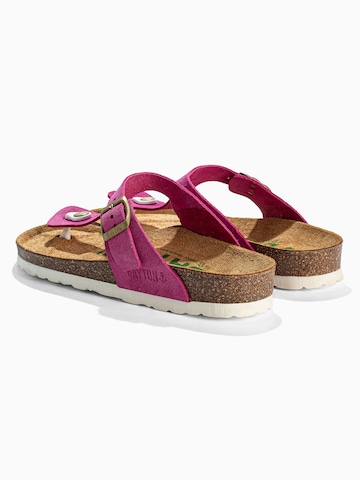 Bayton T-bar sandals 'MERCURE' in Pink