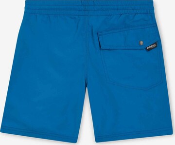 O'NEILL Zwemshorts 'Vert 14' in Blauw