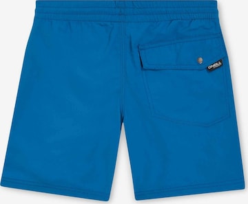 O'NEILL Badeshorts 'Vert 14' in Blau