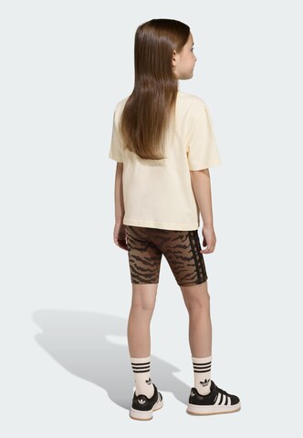 ADIDAS ORIGINALS Set in Wit