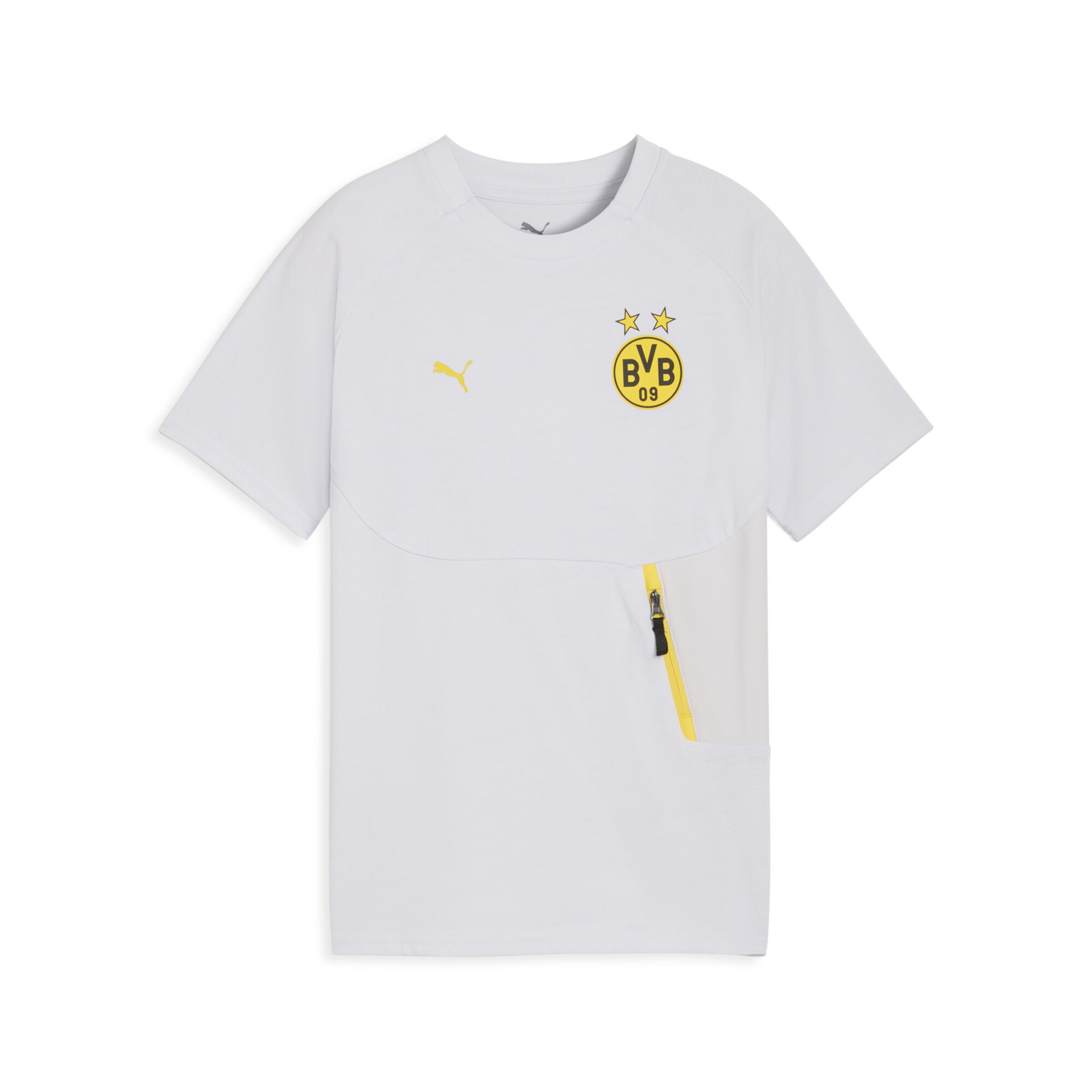 PUMA Funktionsshirt 'Borussia Dortmund Pumatech' in Grau: Vorderseite