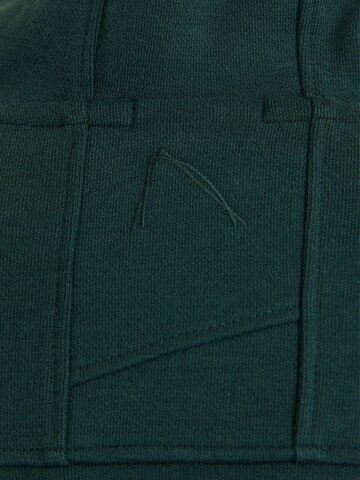 CHASIN' Sweatshirt 'Harper' in Grün
