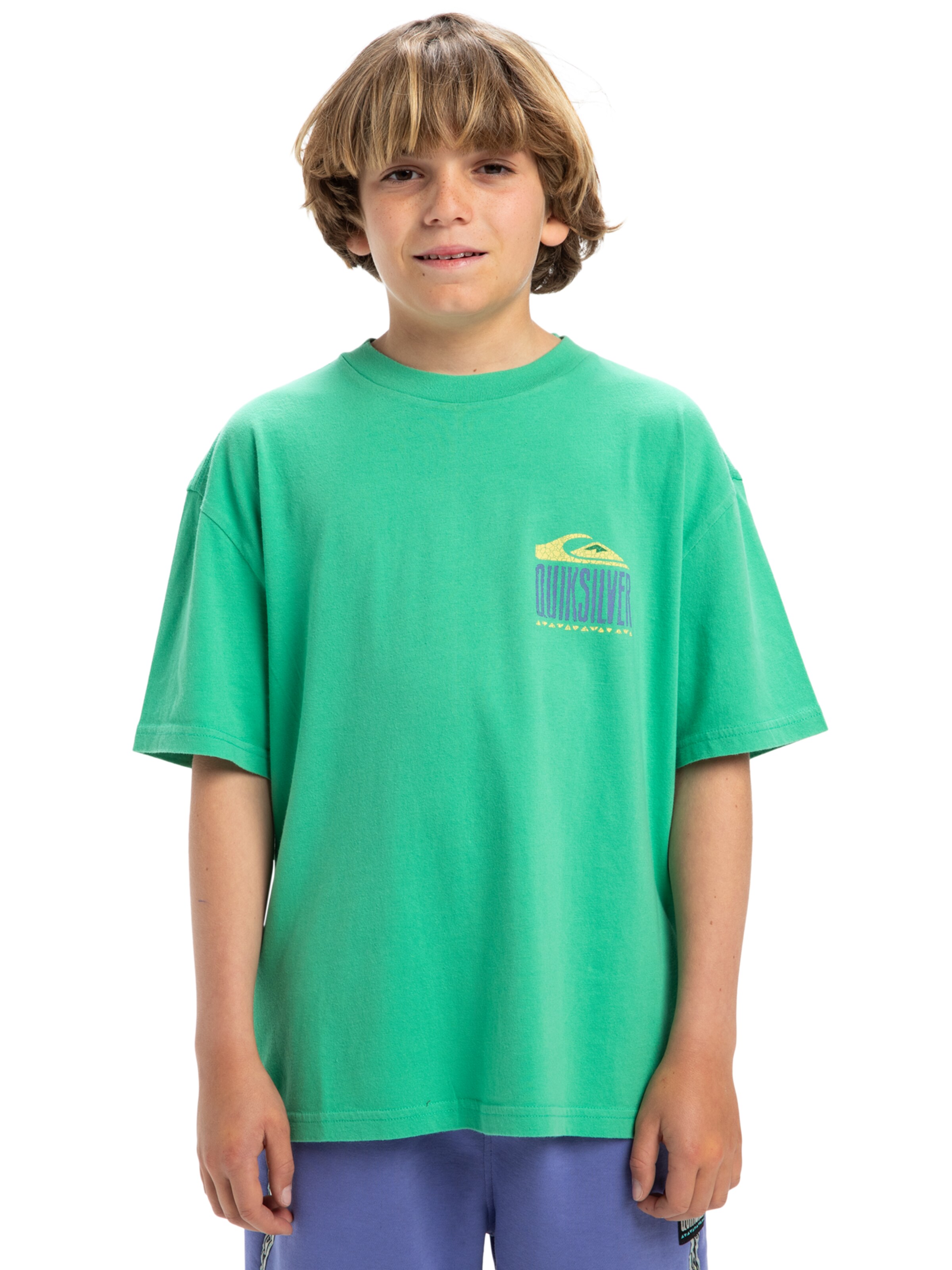 T-Shirt 'World Force' QUIKSILVER en vert