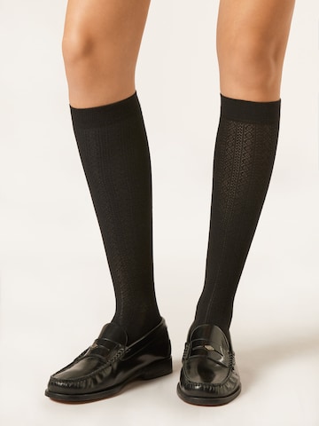 CALZEDONIA Knee High Socks in Black