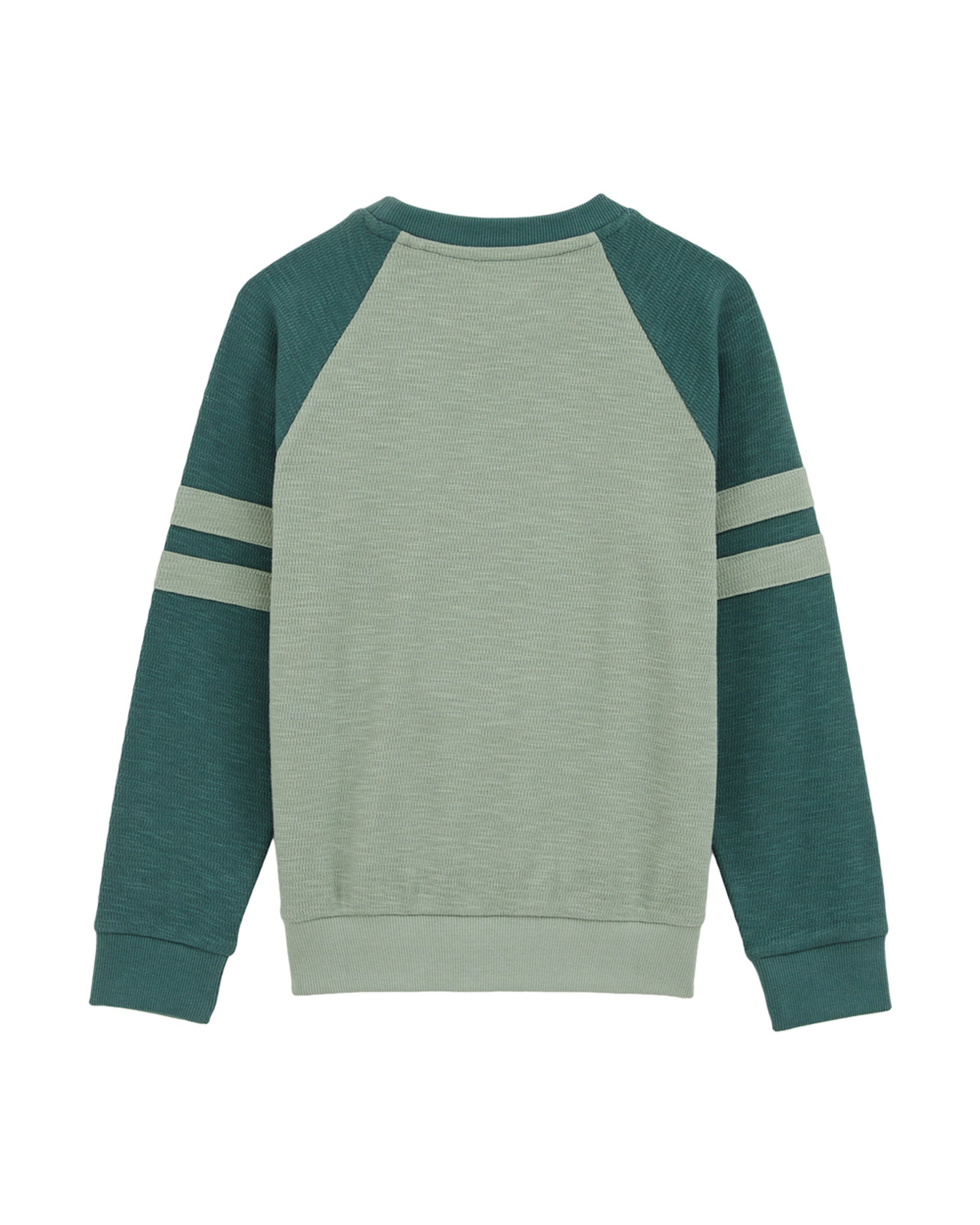 WE Fashion Majica | zelena barva