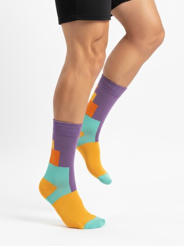 The Arctic Bay - Calcetines 'ZORA EDITION Gift box 4 Pack Unisex' en Mezcla de colores