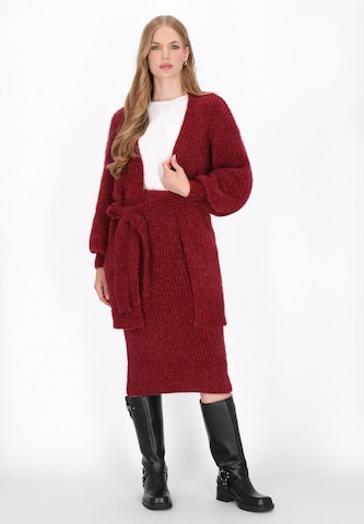 DreiMaster Vintage Rok in Rood