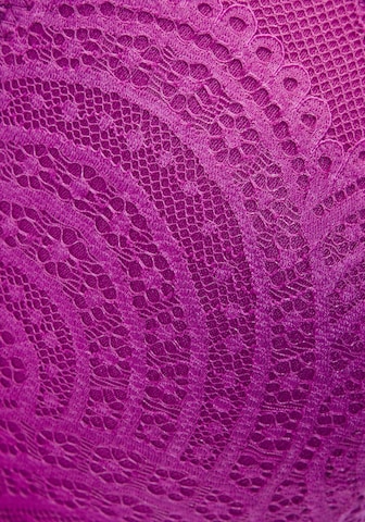 LASCANA Push-up Bra in Purple