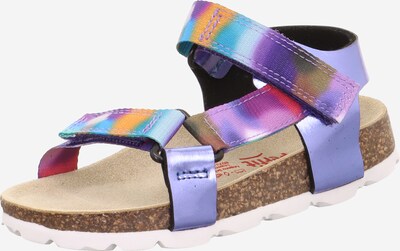 SUPERFIT Sandal in Blue / Sepia / Purple / Orange, Item view