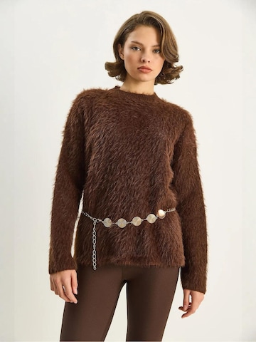 Pull-over 'Pullover' Bianco Lucci en marron