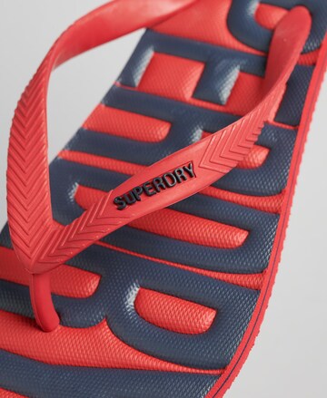 Superdry Teenslippers in Rood