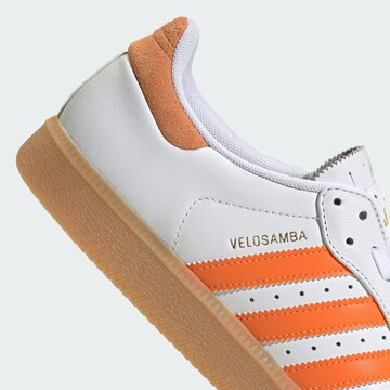 ADIDAS PERFORMANCE Sportschoen 'Velosamba' in Wit