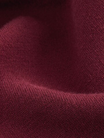 Next Sweater in Red