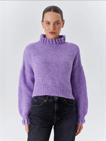 Pullover 'Pullover' di MixRay in lilla: frontale