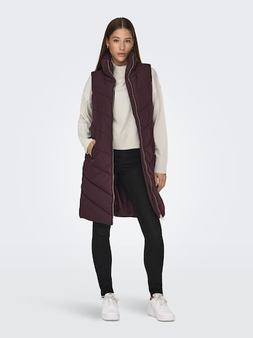 Gilet 'Finno' JDY en marron : devant