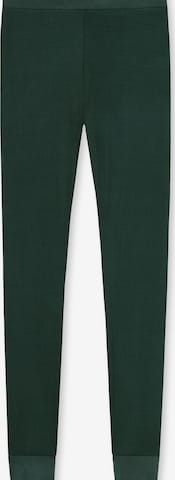 SCHIESSER Skinny Leggings ' Personal Fit ' in Green: front