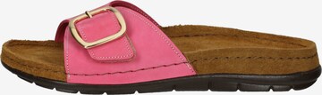 ROHDE Pantolette '5875' in Pink