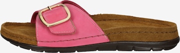 ROHDE Mules '5875' in Pink