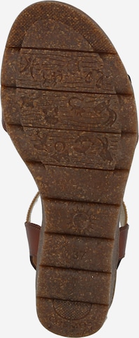 COSMOS COMFORT Strap sandal in Brown