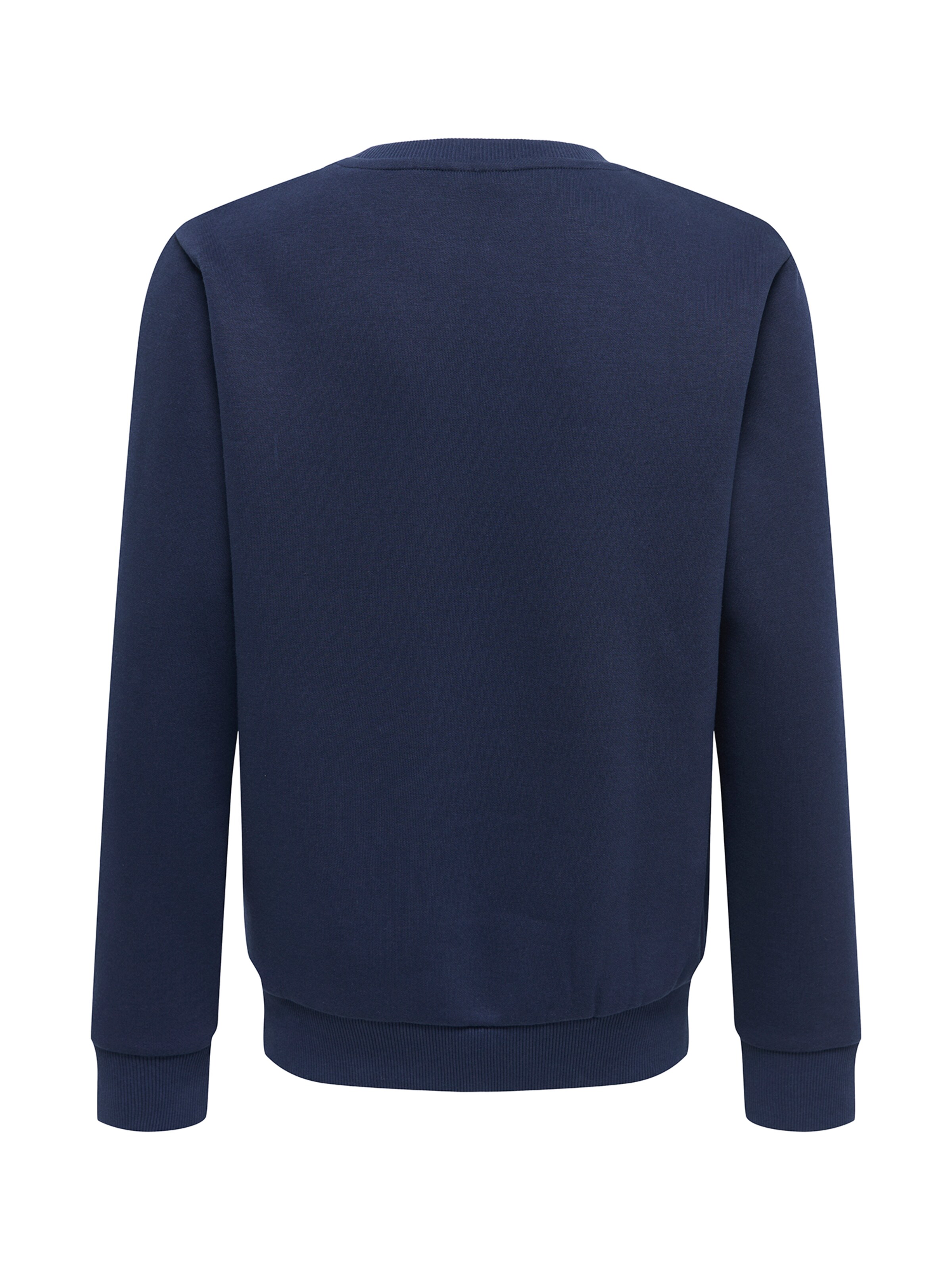 Only & Sons Junior Sweatshirt 'OSJCERES' in Blauw