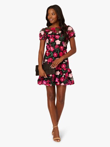 Adrianna Papell Cocktailjurk 'Embroidered Flounce' in Zwart