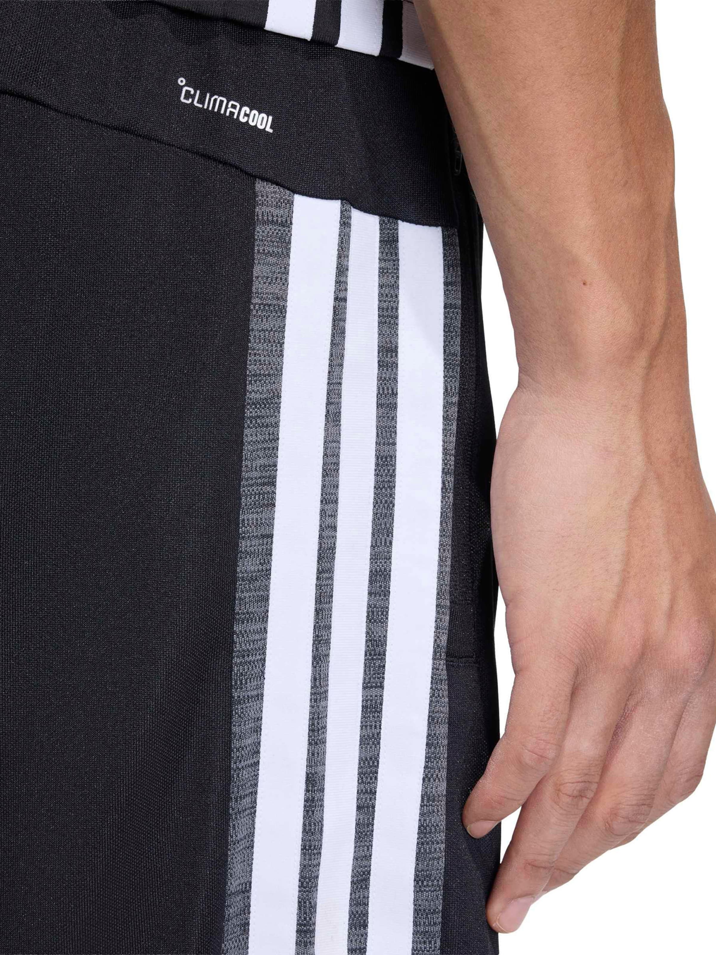 Regular Pantalon de sport 'WE ALLSET' ADIDAS PERFORMANCE en noir