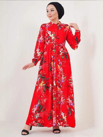 Bigdart Dress in Red: front
