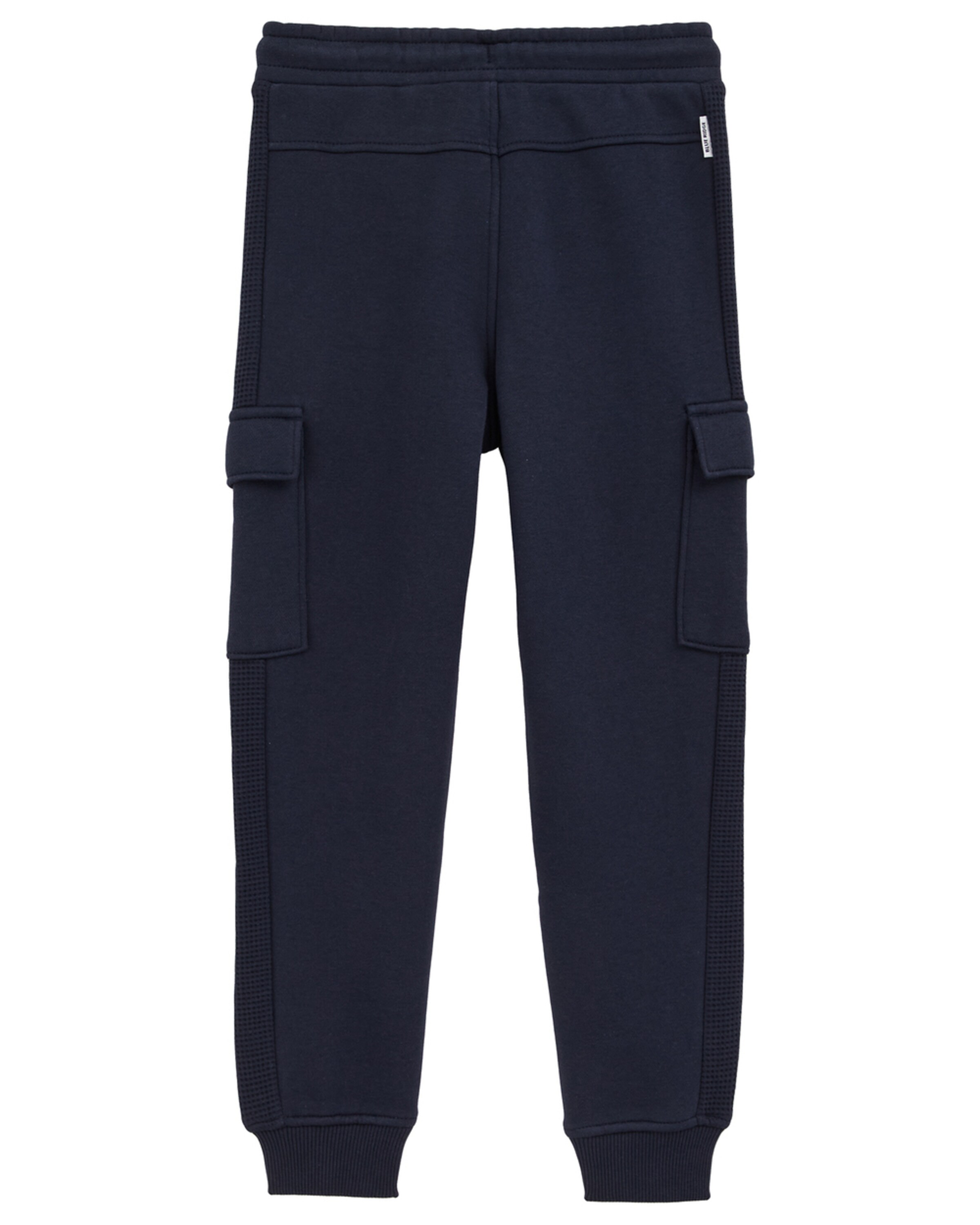 WE Fashion regular Παντελόνι σε μπλε: μπροστά