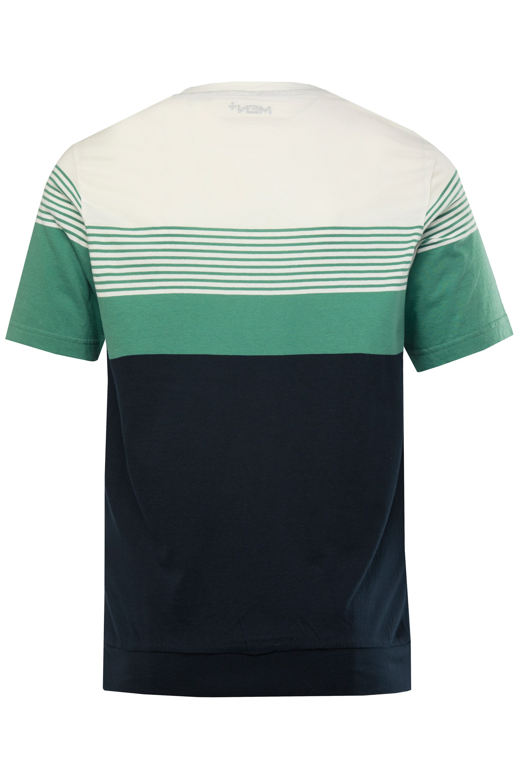 Men Plus Shirt in Blue
