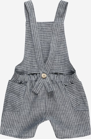 PURE PURE by Bauer Regular Overalls in Grey