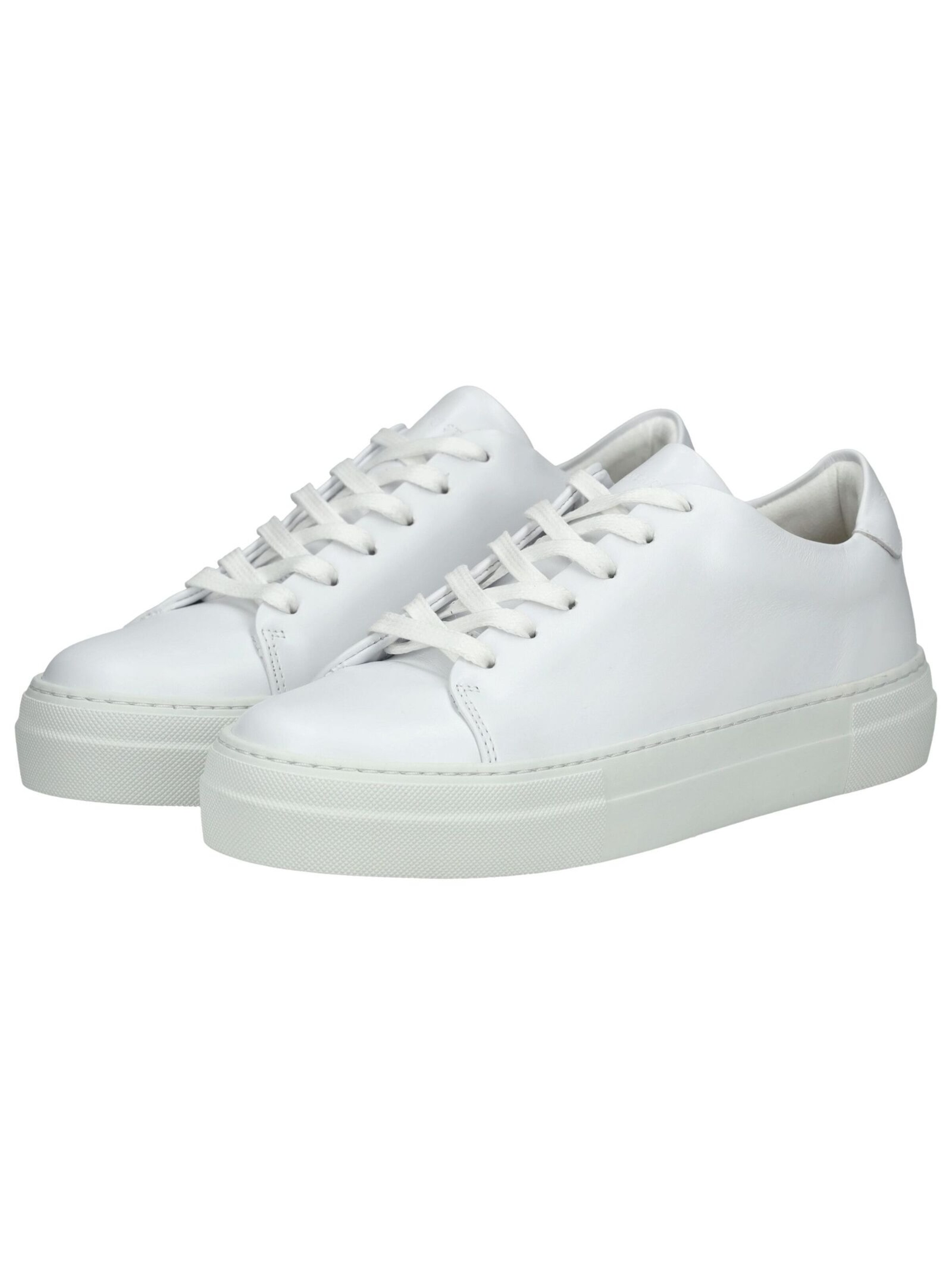 Baskets basses Sneaky Steve en blanc
