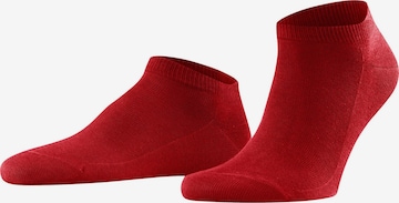 FALKE Socks 'Family' in Red: front