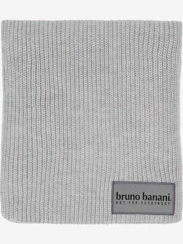 BRUNO BANANI Scarf 'Boone' in Grey