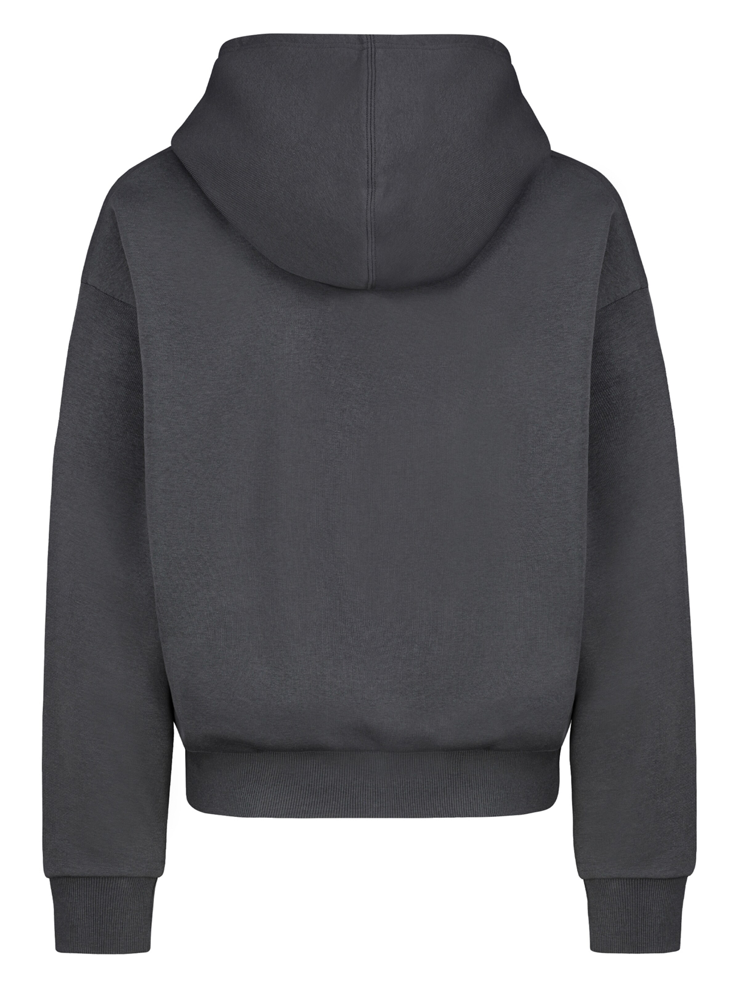 Sublevel Sweatshirt in Grey