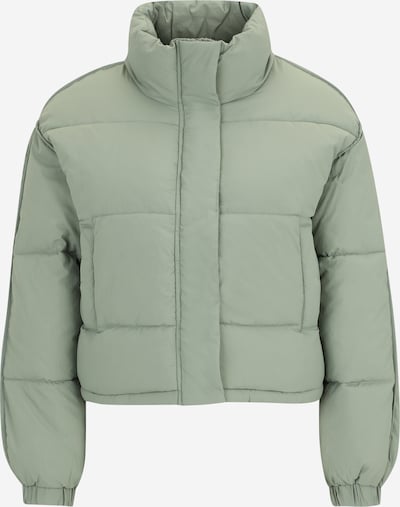 Only Petite Zimska jakna 'ONLELLIE' u menta, Pregled proizvoda