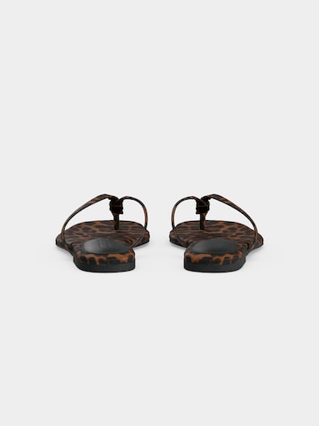 Tongs 'Maliyah' STEVE MADDEN en marron