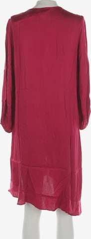Velvet Kleid XS in Pink