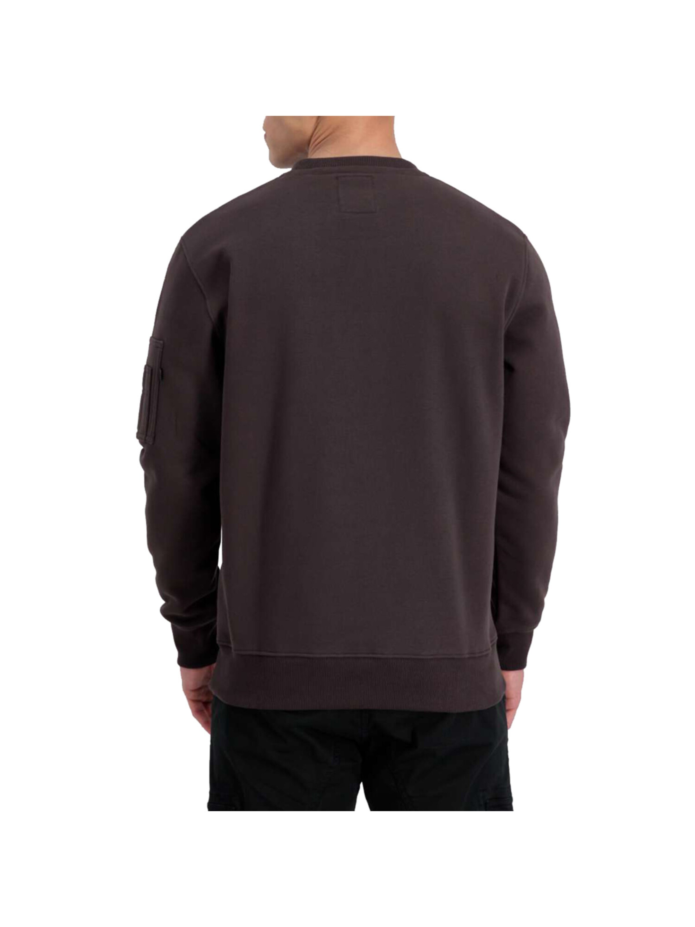 ALPHA INDUSTRIES Sweatshirt 'Alpha Label' in Brown