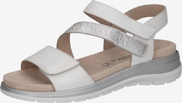 CAPRICE Sandale in Grau: Vorderseite