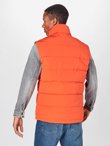 Superdry Bodywarmer 'Everest' in Oranje